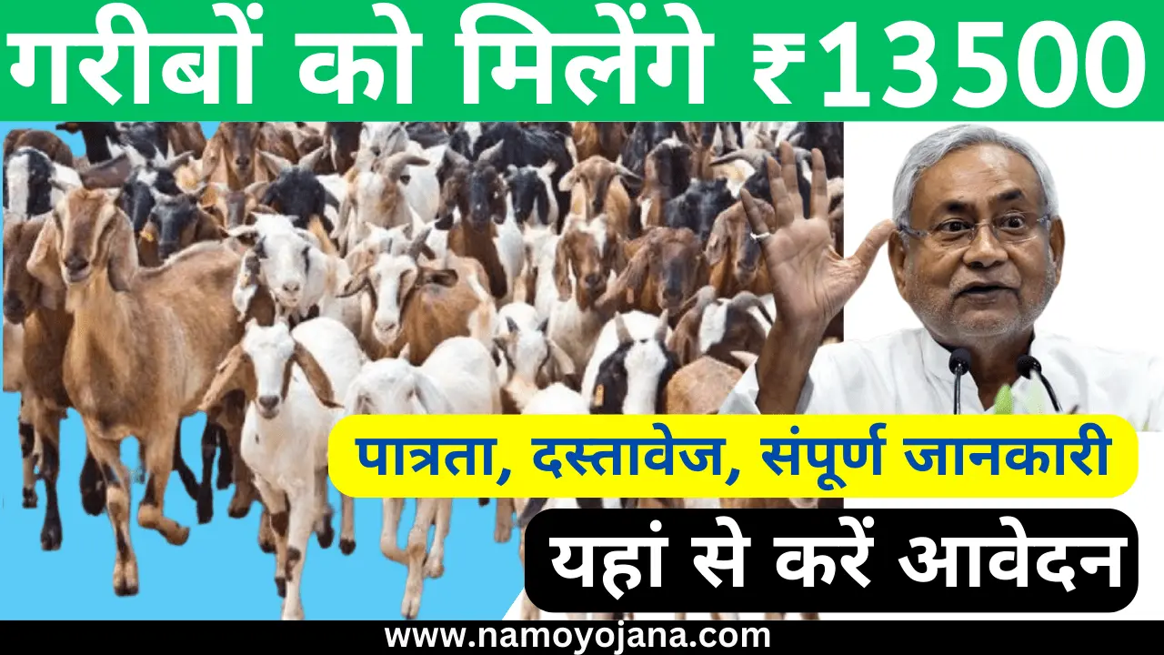 Bihar Bakri Palan Yojana 2024